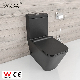  Basic Customization Matte Black Ceramic Wc Toilet Sanitary Ware Watermark Toilet Bowl Bathroom Toilet