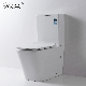 Fashion Design Sanitary Ware Smart Bathroom Toilet Matte Black Wall Mounted Toilet Bowl manufacturer