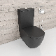 Bath Shower Toiletwatermark Closed Couple Toilet Matte Black Close Coupled Ceramic Wc China manufacturer