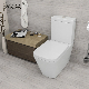Back to Wall Floor Mount Toilet P Trap Ceramic Two Piece Toilet manufacturer