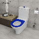 Australian Design Sanitary Ware Diasabled Toilet Cared Toilet Suite Close Couple Toilet