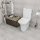 Ceramic Sanitary Ware Bathroom Sanitaryware New Design Modern Two Piece Toilet manufacturer