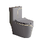  Cheap Wholesale Western Color All-in-One Luxury Matte Gery Ceramic Toilet