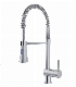 Santary Ware Pull out Shower Spout Kitchen Faucet