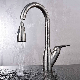 Sanitary Ware Stainless Steel Kitchen Pull out Single Handle Faucet