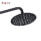 Fyeer 8 Inch Round Ultra Thin Stainless Steel Black Shower Head manufacturer