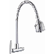 Flexible Pipe Kitchen Cold Water Tap with Sprayer Simple Faucet manufacturer