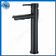 Stainless Steel Black Basin Faucet SS304 Basin Tap Bathroom Sink Faucet