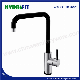 Modern Stainless Steel 304 Luxury Black Kitchen Faucet Sink Mixer Water Tap (FT1207D)