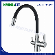  Double Handle Pure Water Tap Brass Kitchen Faucet (MIC-0005)