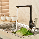  Luxury Kitchen Faucet with 180 Degree Rotable