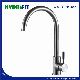 Stainless Steel 304 Mixer Sanitary Ware Factory Water Tap Lead Free Brushed Kitchen Faucet (FT1224)