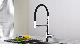 Brass Material New Design Purifier Kitchen Faucetodn-23730c