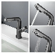 Zb6084 Liftable 360 Degree Rotating Brass Bathroom Basin Faucet