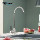  Single Handle Stainless Steel Satin Kitchen Drinking Water Faucet