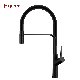 Fyeer Black Painted Pull Down Spray Kitchen Sink Faucet manufacturer