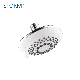 Multi Functions Wall Mounted High Quality ABS Shower Head with Adjustable Ball Joint