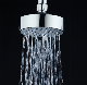 732 New Design ABS Chrome Plated Small Rainfall Top Shower Head manufacturer