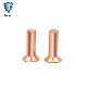 Top Quality Copper Flat Head Solid Rvets for Leathercraft