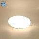 Waterproof Dimming Power Dimming LED Ceiling Light for Shower Light Bathroom Balcony