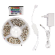 RGB Remote Control Colorful Wedding Meteor Shower Self-Adhesive Line Light Strip LED Flexible Tape Strip Light