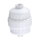 Faucet Water Shower Filter for Bath (HHSF-4)