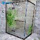  Customerized Pattern Colorful Safe Tempered Digital Printing Glass