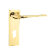 Weinv Cast Stainless Steel Door Handle Locks manufacturer