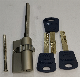 High Quality Brass Double Open Multi-Point Lock Gear Cylinder manufacturer