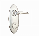  Zinc Alloy Mortise Lock Handle