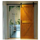 High Quality Modern Design Laminated Wood Door