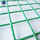  PVC Coated Galvanized Welded Wire Mesh for Fence