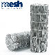  Super Quality Galvanized Welded Wire Mesh