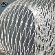 7X7 7X19 Ferrule Rope Mesh Cable Netting Decorative Garden Architectural Protection Fence Mesh