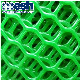 4mm Thickness HDPE Plastic Square Mesh