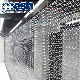 Stainless Steel Architectural Ring Mesh Used for Screen