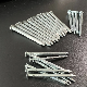 Hot Sale Hot Dipped Galvanized Square Boat Nails Made in China