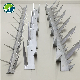 Galvanized Steel Spike/ Razor Barbed Wire Anti Climb Wall Spikes