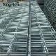 Stainless Steel/ Galvanized Welded Wire Mesh Mild Steel Wire Net