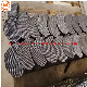 Ring/Horseshoe/Rectangle/Alien Multilayer Filter Wire Mesh Discs