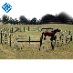 Galvanized Weldeing Farm Equipment Cattle Fence Panel Horse Corral Fencing