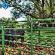 Wholesale Bulk Livestock Cattle Fence Panels manufacturer