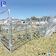 Pengxian Colorbond Steel Pipe Fence China Suppliers Metal Corral Fence 30 X 60 mm Oval Rails High Tensile Field Fence