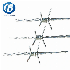 Hot Dipped Galvanized Double Strand Barbed Wire Roll for Farm Fencing