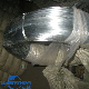 Annealed / Hot DIP Galvanized /Bwg21/Steel /Plastic Coated/Lron /Q195/Q235/ Cold Drawing /1.2mm / Wire manufacturer