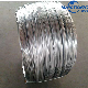 Galvanized Iron Binding Wire, Galvanized Wire with Wire Diameter of 0.71-4.0mm