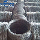 Mild Steel /Q195 Material/Galvanized/Iron/Wire manufacturer