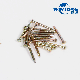  2.0mmx20mm Concrete Steel Nails, Iron Nails for Construction