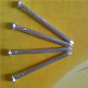  Galvanized/Concrete/Coil Nails/Steel Nails