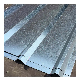 Sheet/ Roofing Sheet Price High Quality Gi Corrugated Steel Galvanized Steel Coil Ral Galvanized Coated Container Plate